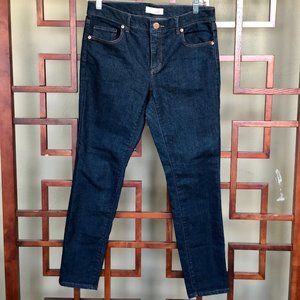 Loft Petite Modern Skinny Dark Jean 28/6